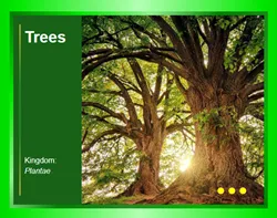 tarjeta_de_informacion_presentacion