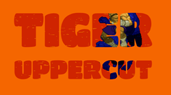 EFECTOS DE TEXTO CSS