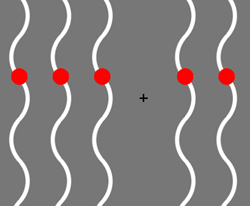 02_ilusion_optica_optical_illusion_css