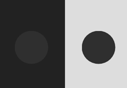 04_ilusion_optica_optical_illusion_css