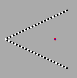 05_ilusion_optica_optical_illusion_css