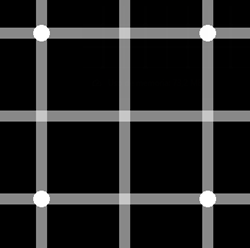 08_ilusion_optica_optical_illusion_css