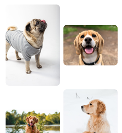 galeria_imagenes_css_gallery